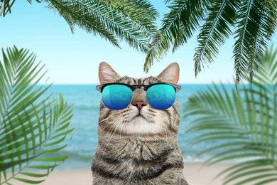 Image of Cute cat wearing sunglasses on sandy beach near sea. Summer vacation with pet