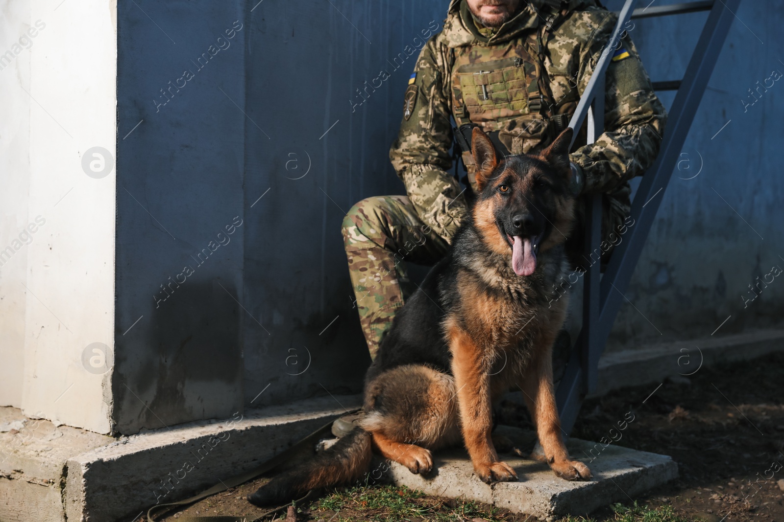 Photo of Ukrainian soldier with German shepherd dog sitting outdoors, closeup. Space for text