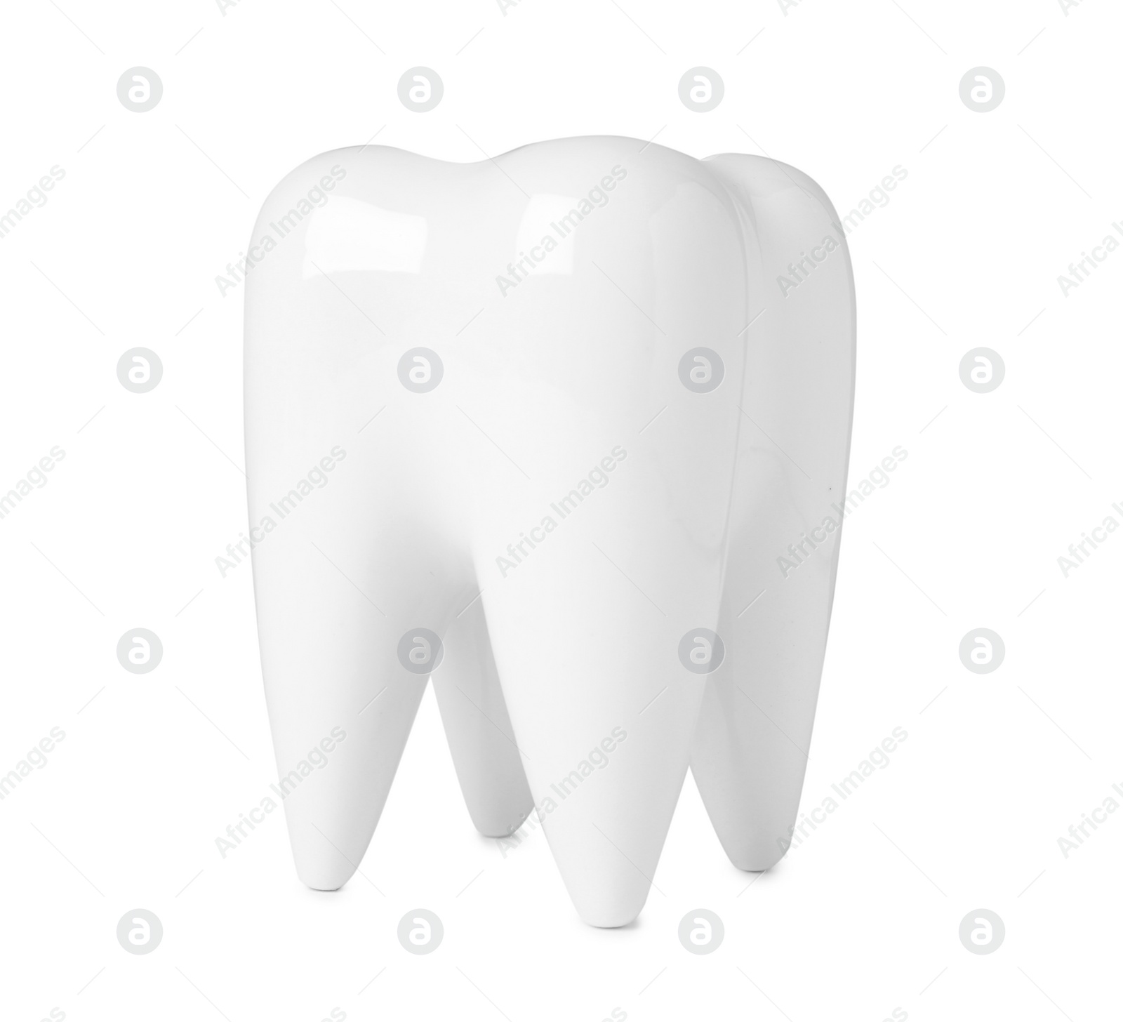 Photo of Ceramic model of tooth on white background. Dental care