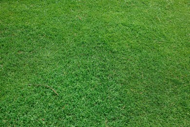 Photo of Beautiful freshly cut green lawn as background