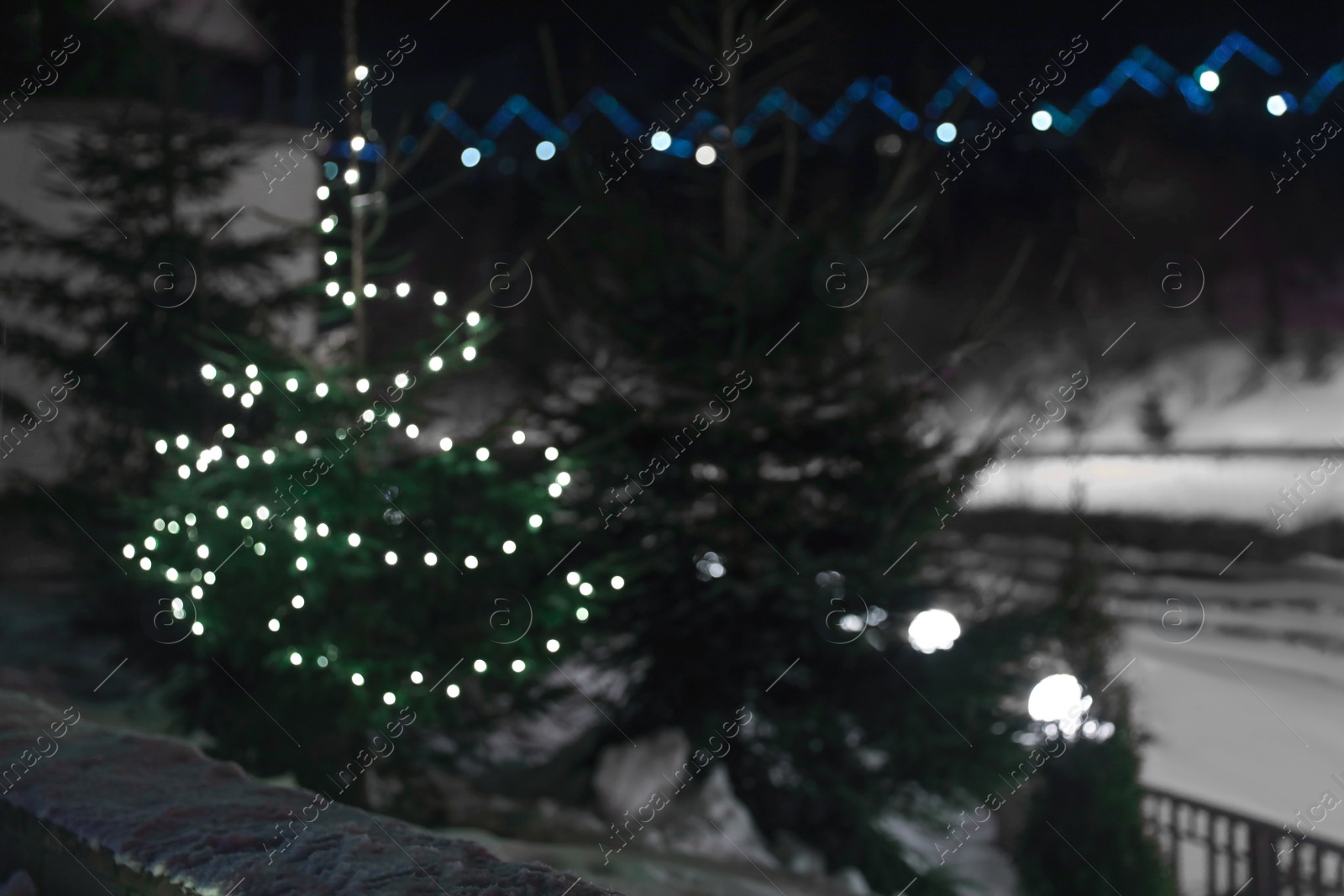 Photo of Blurred view of fir tree with Christmas lights and snow outdoors