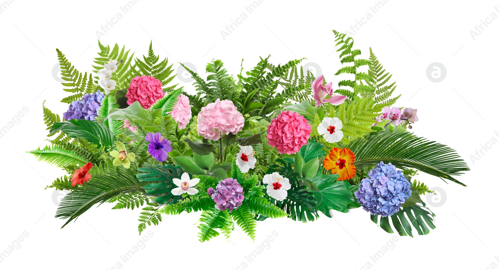 Image of Beautiful composition with tropical leaves and flowers on white background