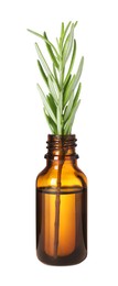 One bottle with essential oil and rosemary isolated on white