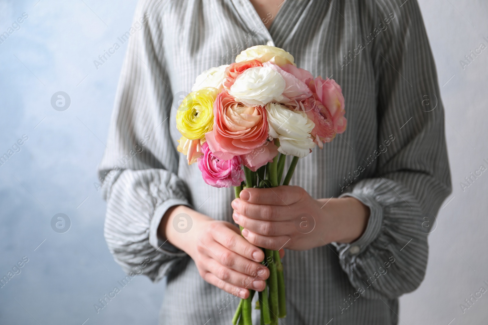 Photo of Woman holding beautiful ranunculus flowers against light blue background, closeup