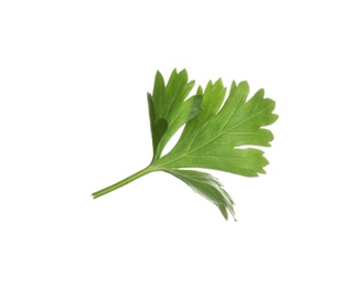 Fresh green organic parsley on white background