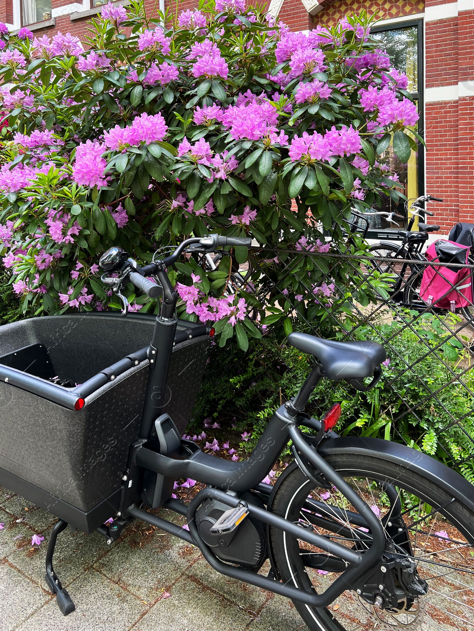 Photo of Modern electric bicycle near blooming shrub on city street