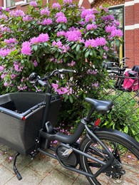 Modern electric bicycle near blooming shrub on city street