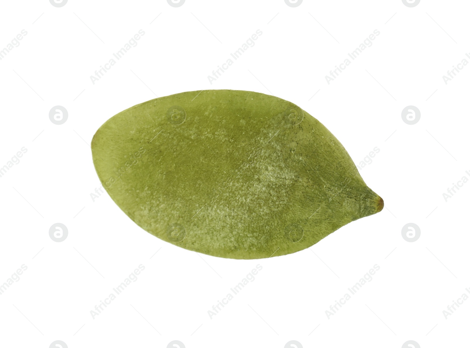 Photo of One peeled pumpkin seed isolated on white