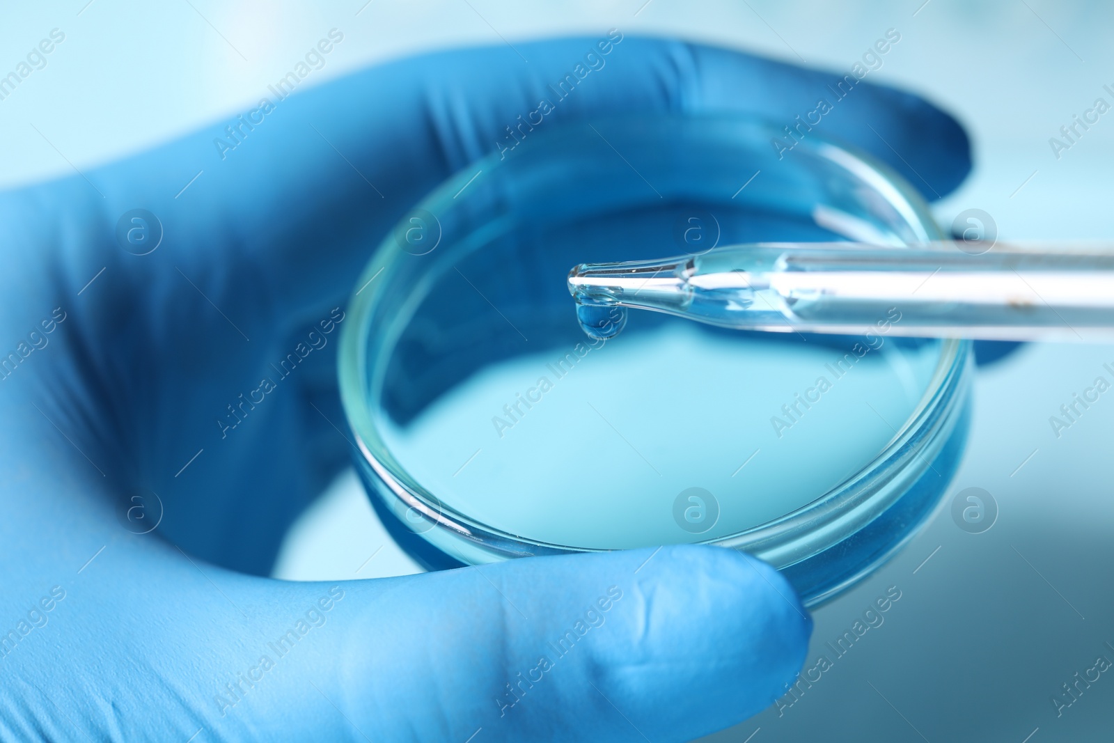 Photo of Doctor dripping liquid from pipette into petri dish on light blue background, closeup. Laboratory analysis