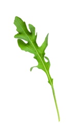 Photo of Leaf of fresh arugula isolated on white