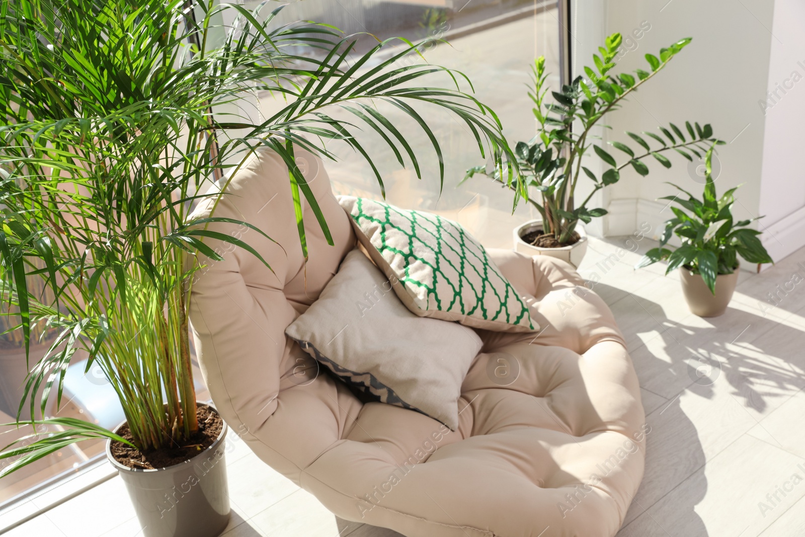 Photo of Cozy place with armchair pillow and potted plants at home