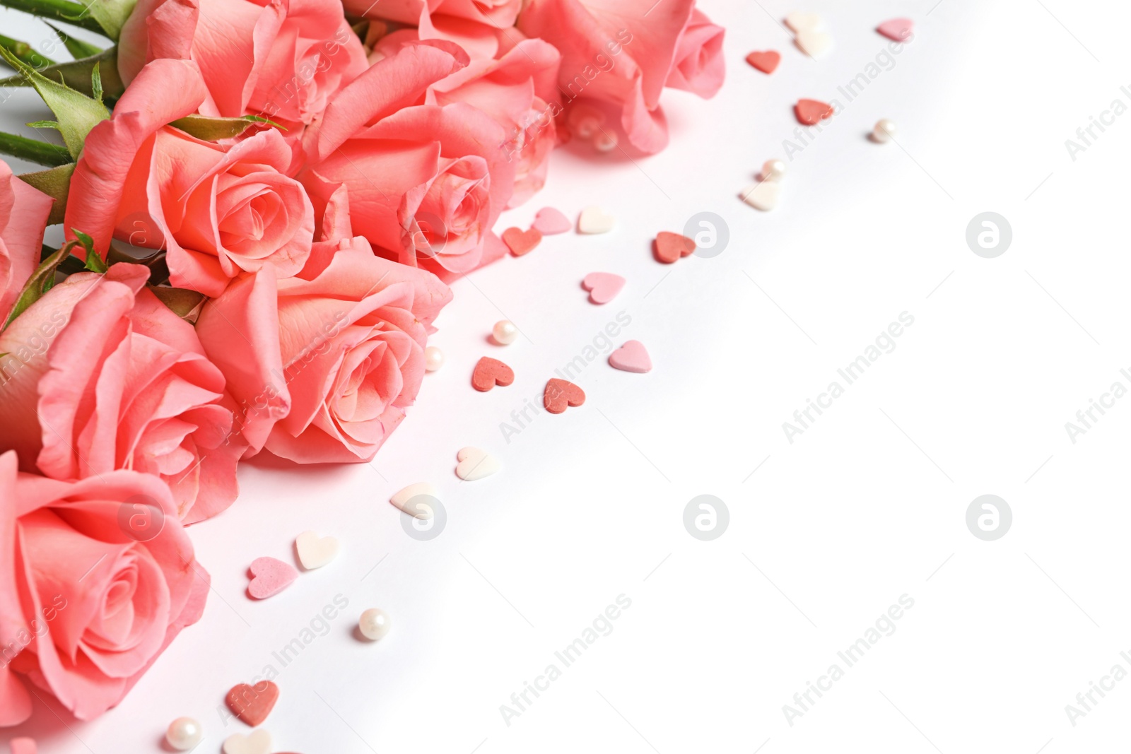 Photo of Beautiful roses and little hearts on white background