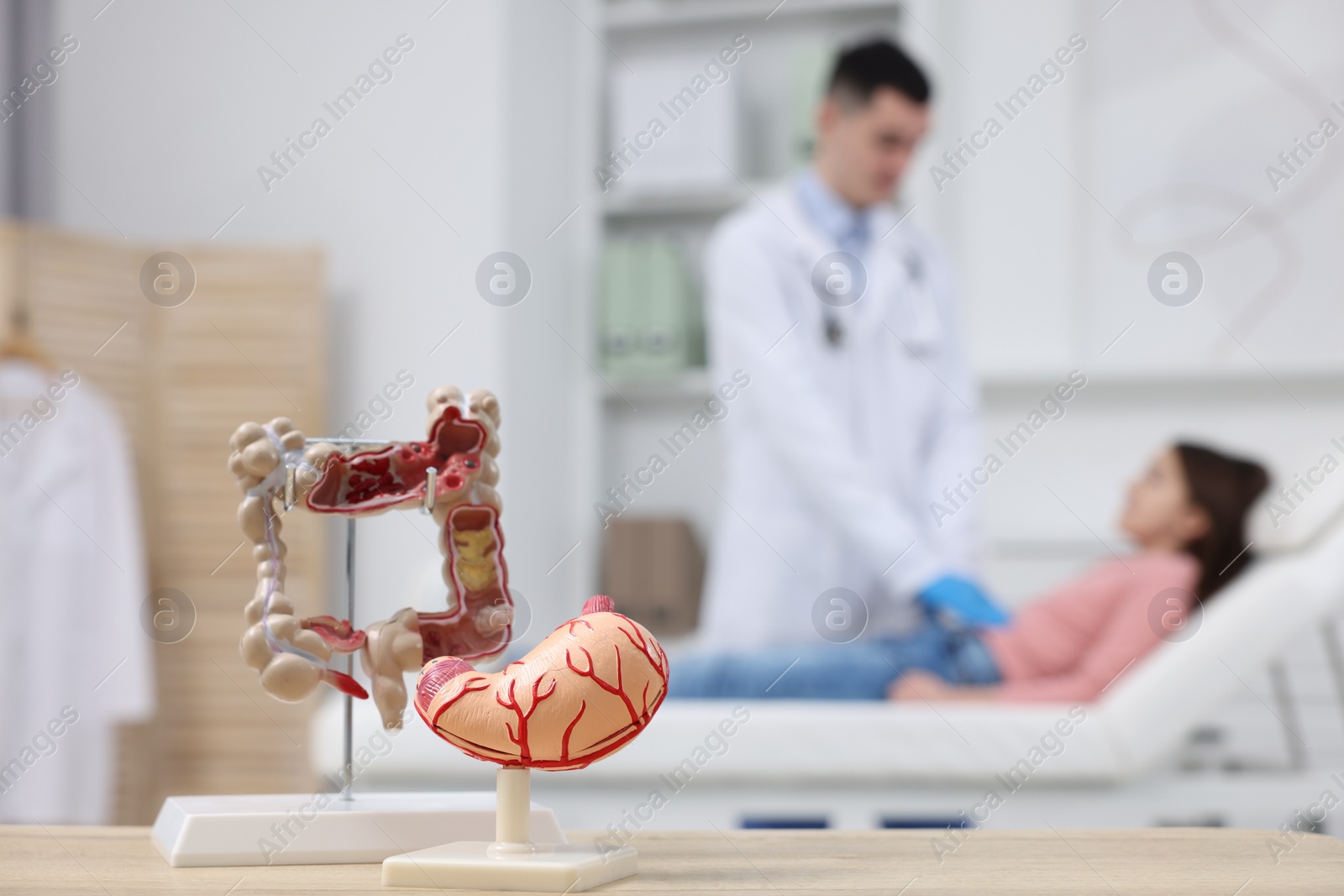 Photo of Gastroenterologist examining girl in clinic, focus on models of stomach and intestine on table