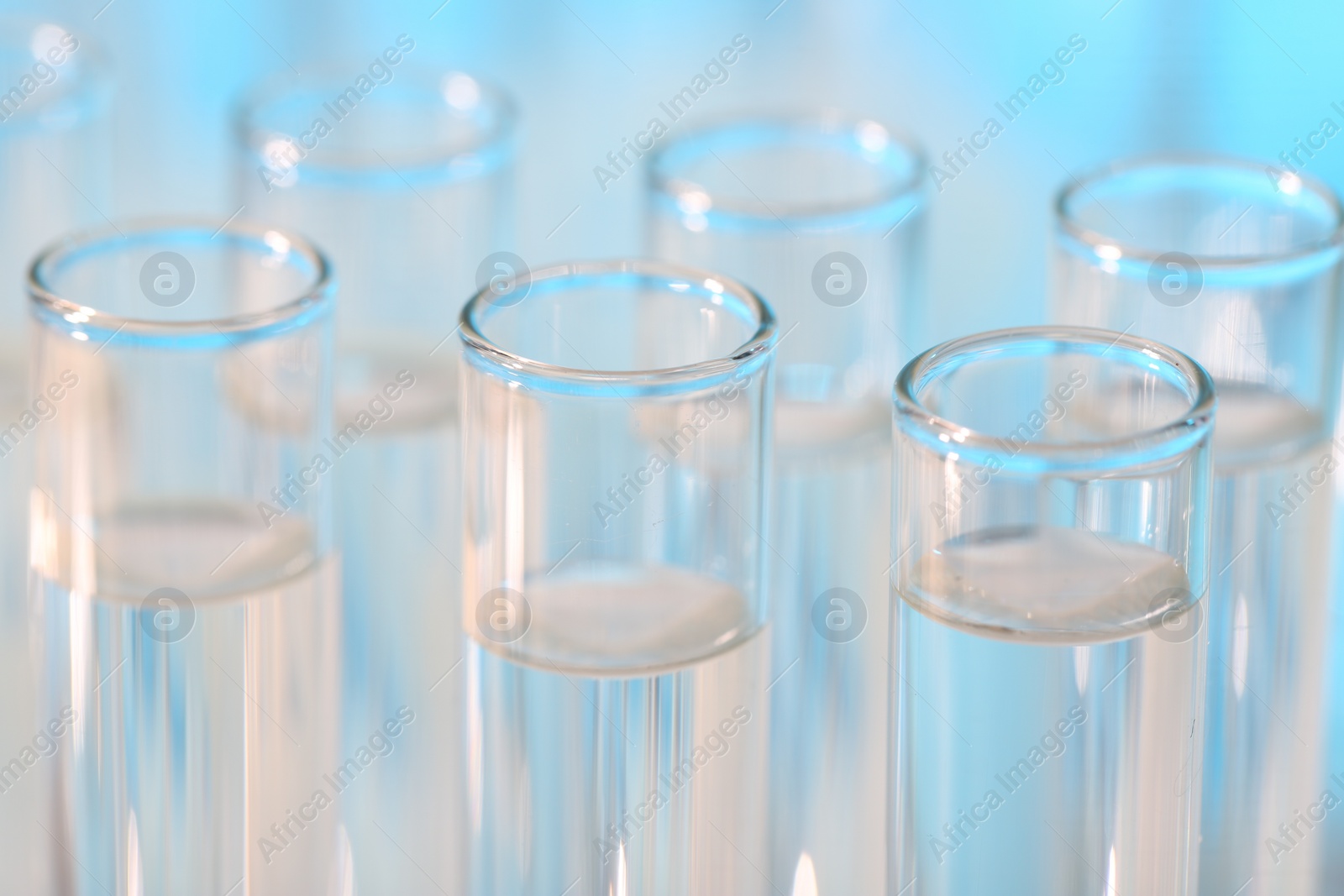 Photo of Laboratory analysis. Many glass test tubes on light blue background, closeup