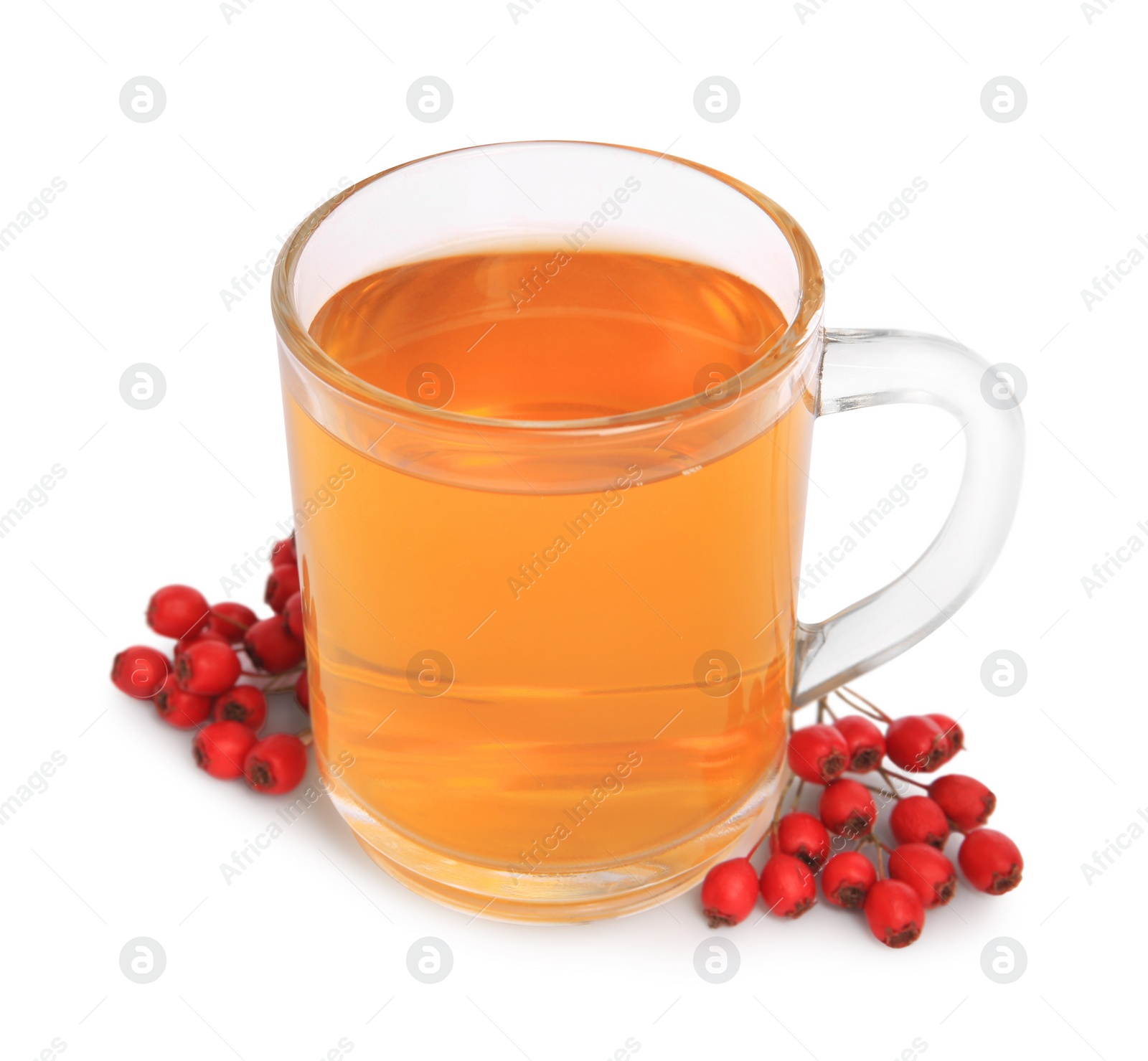 Photo of Cup with hawthorn tea and berries isolated on white