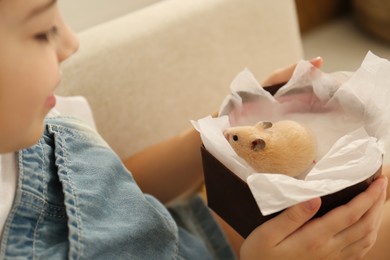 Little girl holding box with hamster at home, closeup