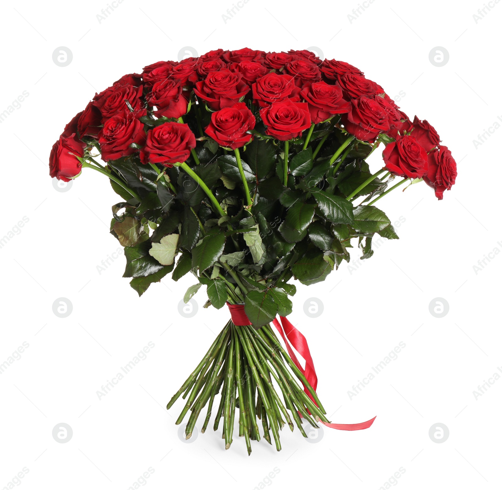 Photo of Luxury bouquet of fresh red roses isolated on white