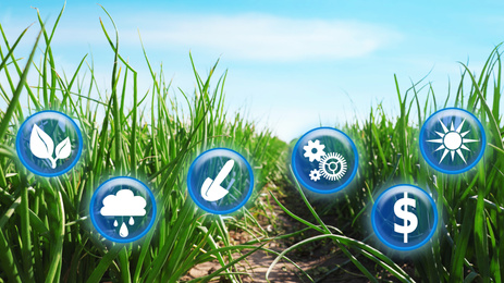 Image of Modern agriculture concept. Icons and field on background