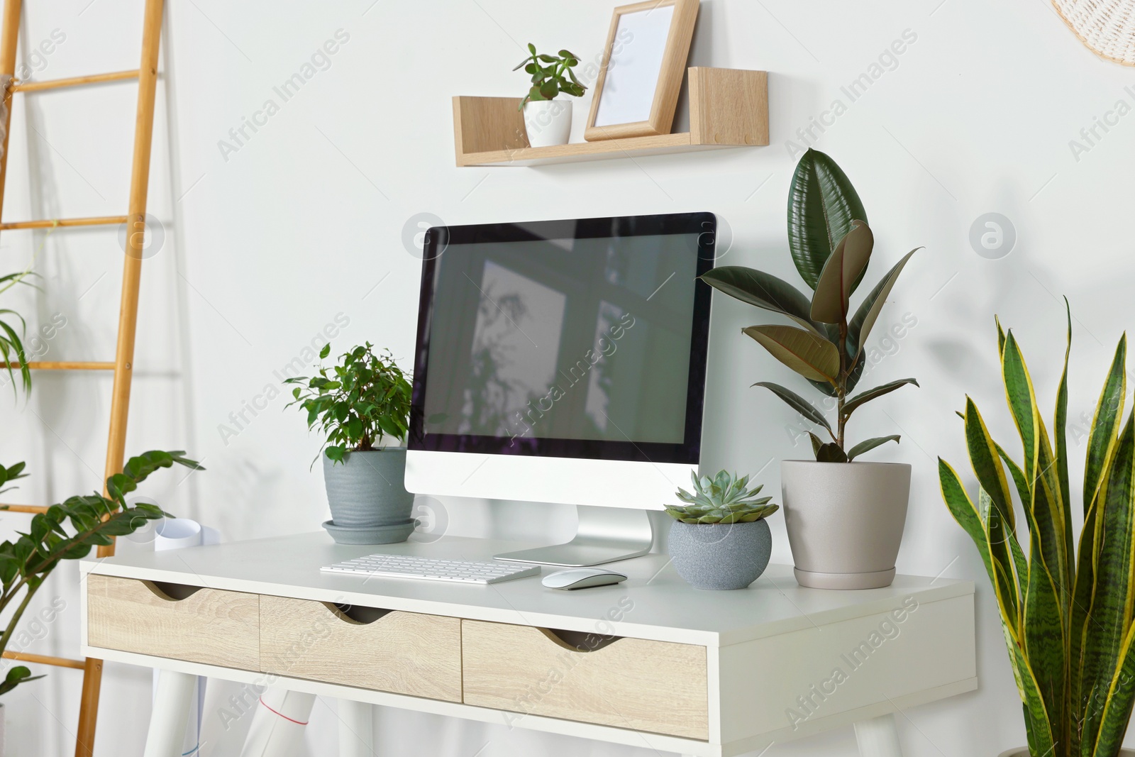 Photo of Comfortable workplace with modern computer and different houseplants in room