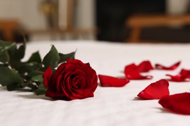 Photo of Honeymoon. Beautiful rose flower and petals on bed in room, closeup