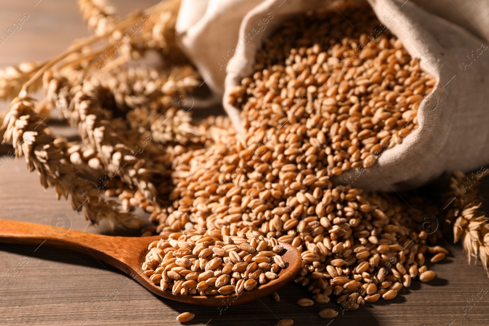 Photo of Wheat grains with spikelets on wooden table, closeup