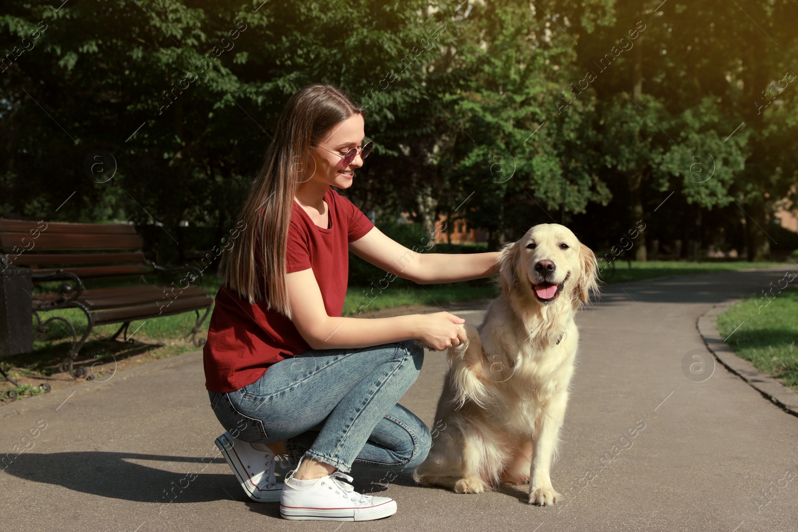 Photo of Cute golden retriever dog giving paw to young woman in park