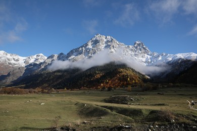 Photo of Picturesque view of mountains with forest covered by mist and meadow on autumn day