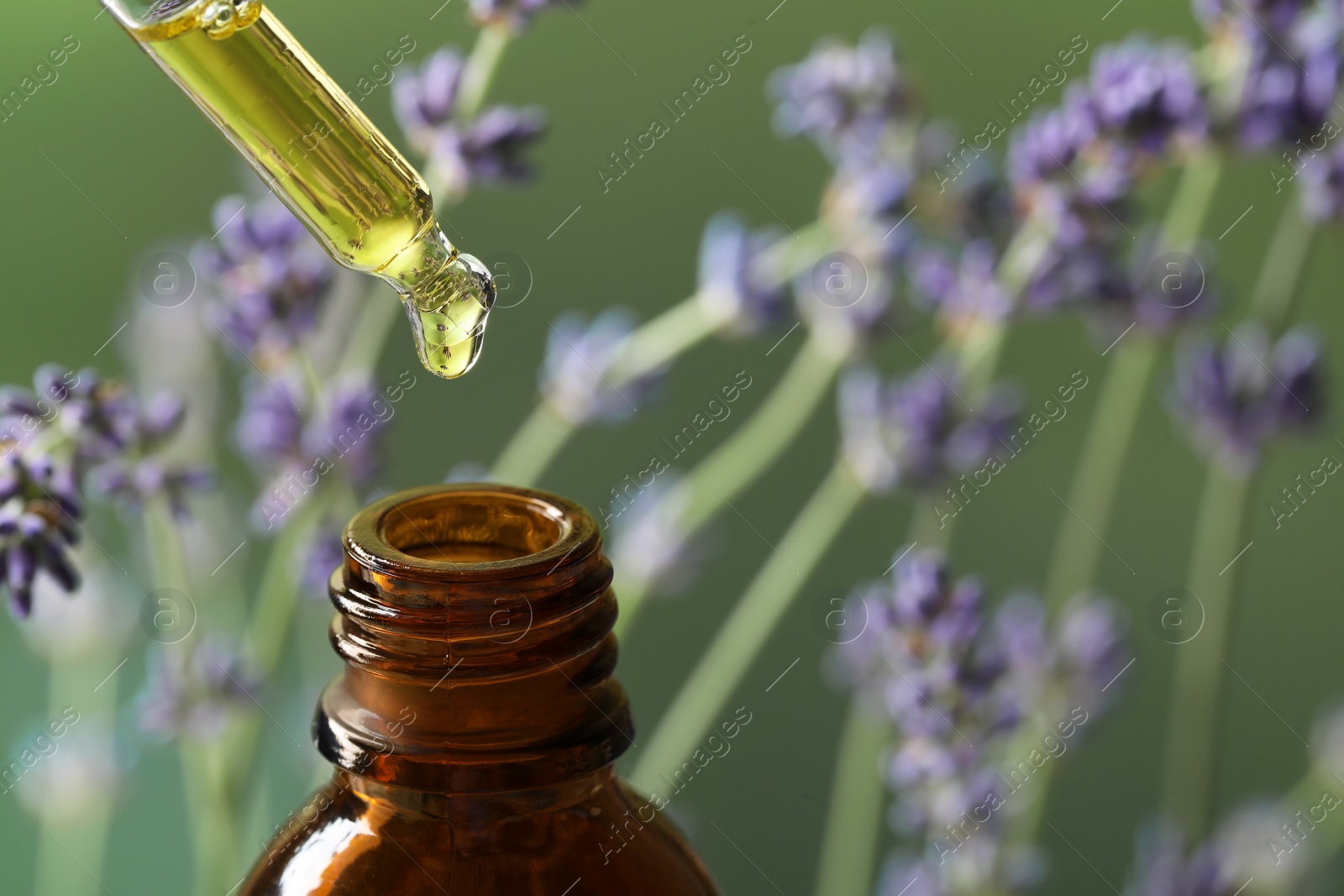 Photo of Dripping essential oil from pipette into bottle near lavender on green background, closeup. Space for text
