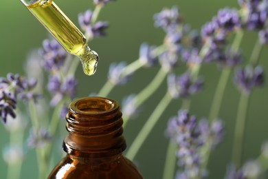 Photo of Dripping essential oil from pipette into bottle near lavender on green background, closeup. Space for text