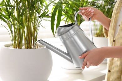 Woman watering house plant on window sill indoors, closeup