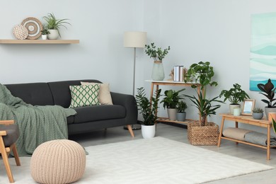 Photo of Beautiful living room interior with green houseplants and comfortable furniture