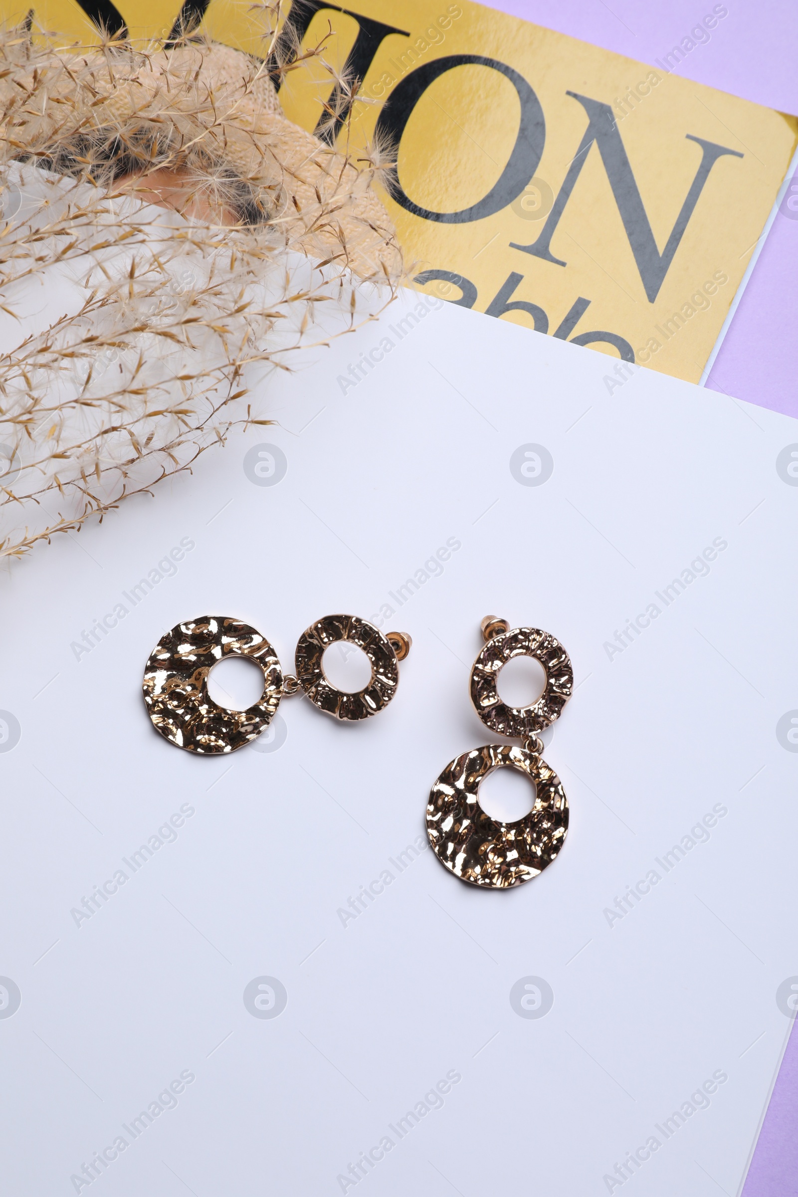 Photo of Beautiful earrings and magazine on violet background