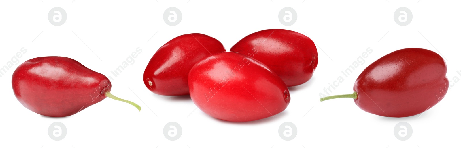 Image of Set of ripe red dogwood berries on white background, banner design