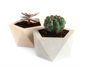 Beautiful succulent plants in stylish flowerpots on white background. Home decor