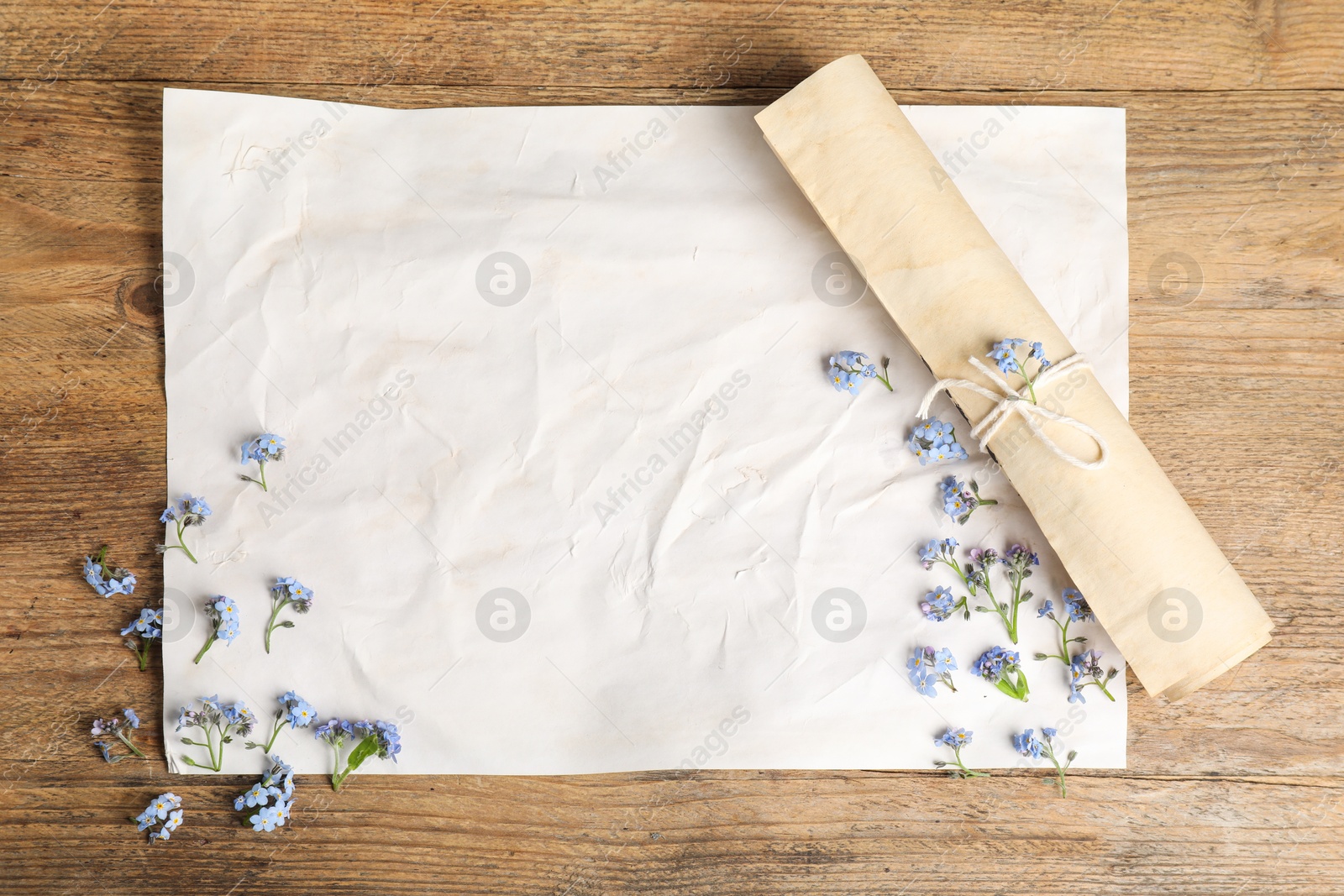 Photo of Beautiful forget-me-not flowers and sheets of old parchment paper on wooden table, top view