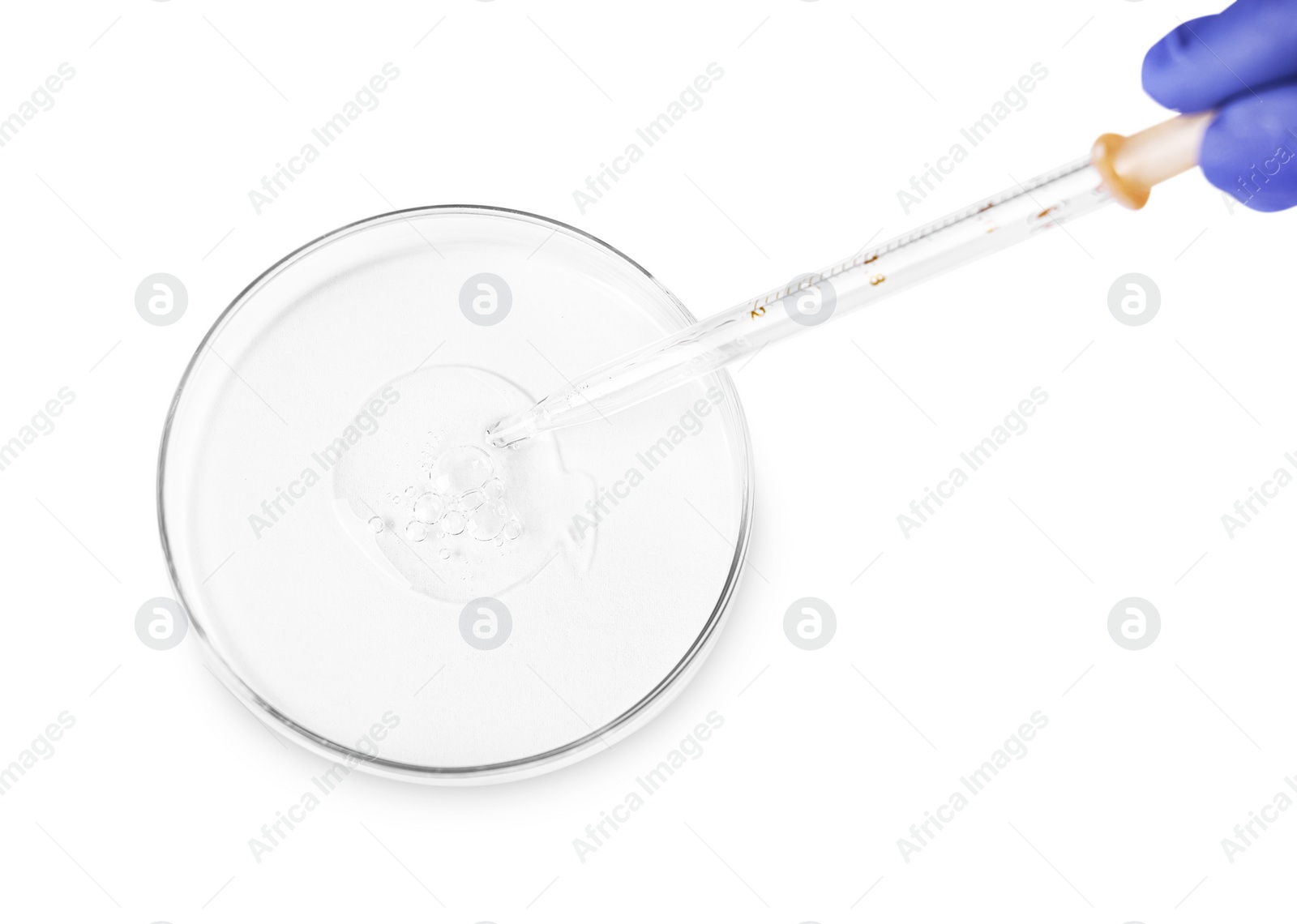 Photo of Scientist dripping liquid from pipette into petri dish on white background, top view