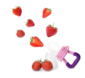 Image of Empty nibbler and fresh ripe strawberries falling on white background. Baby feeder