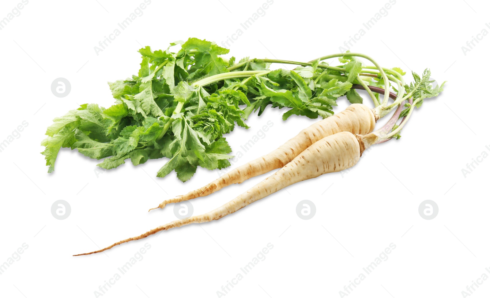 Photo of Tasty fresh ripe parsnips on white background