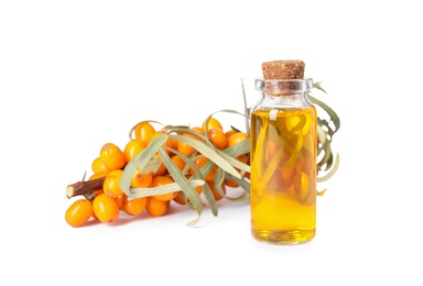 Natural sea buckthorn oil and fresh berries on white background