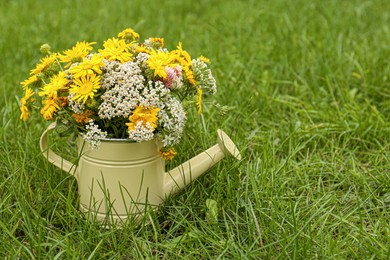Pale yellow watering can with beautiful flowers on green grass, space for text