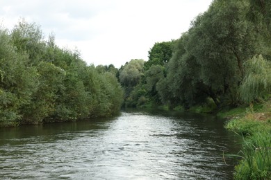 Picturesque view of clean river and trees in countryside