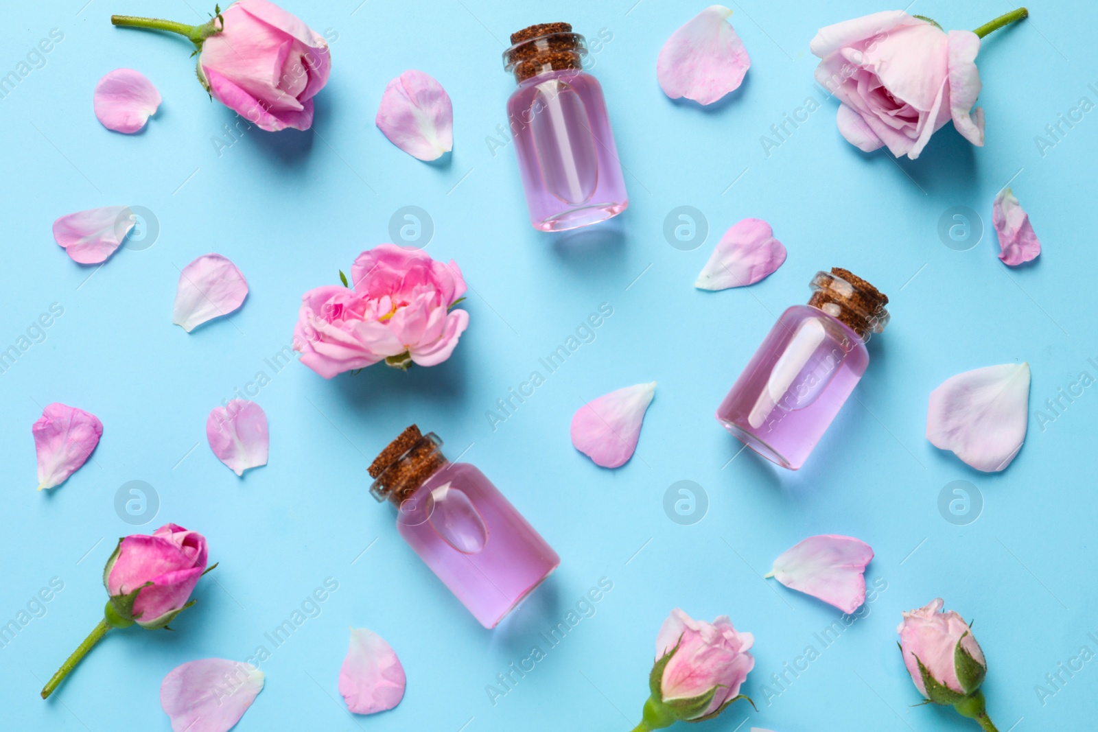 Photo of Fresh flowers, petals and bottles of rose essential oil on color background, flat lay