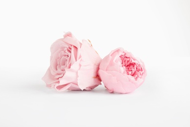 Beautiful pink peony and rose flowers on white background