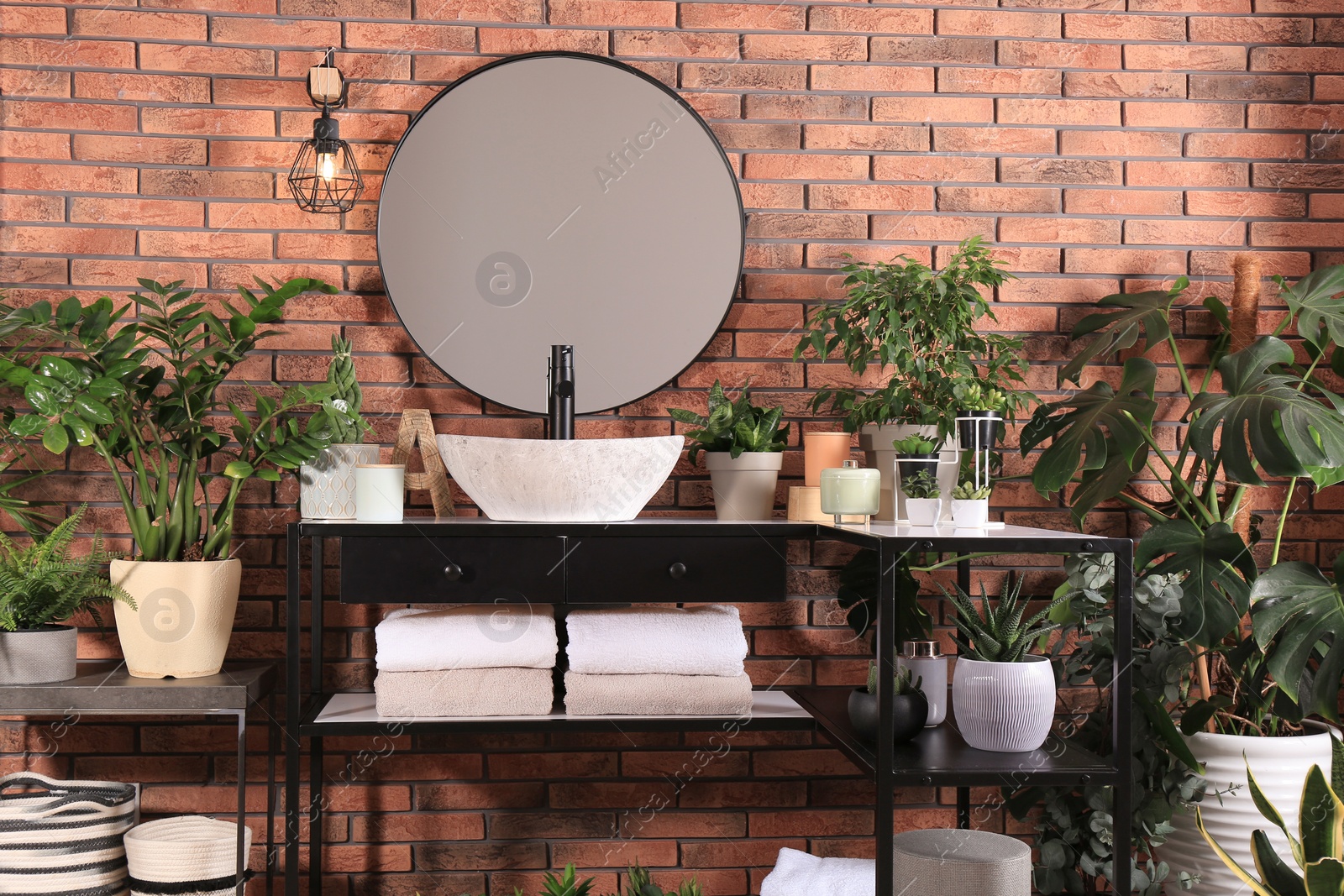 Photo of Stylish bathroom interior with modern sink, furniture and beautiful green houseplants