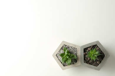 Succulent plants in concrete pots on white table, flat lay. Space for text