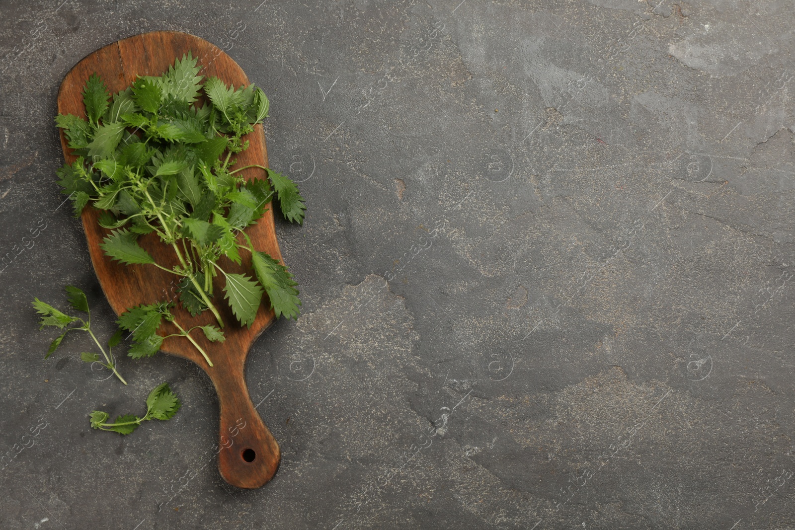 Photo of Fresh stinging nettle leaves on grey table, flat lay. Space for text