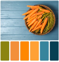 Image of Color matching palette. Ripe carrots in bowl on blue wooden background, top view with space for text