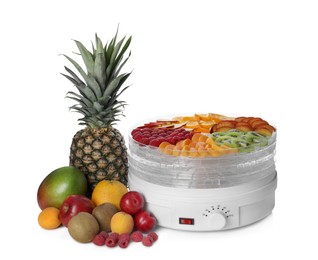 Modern dehydrator machine and different fruits on white background