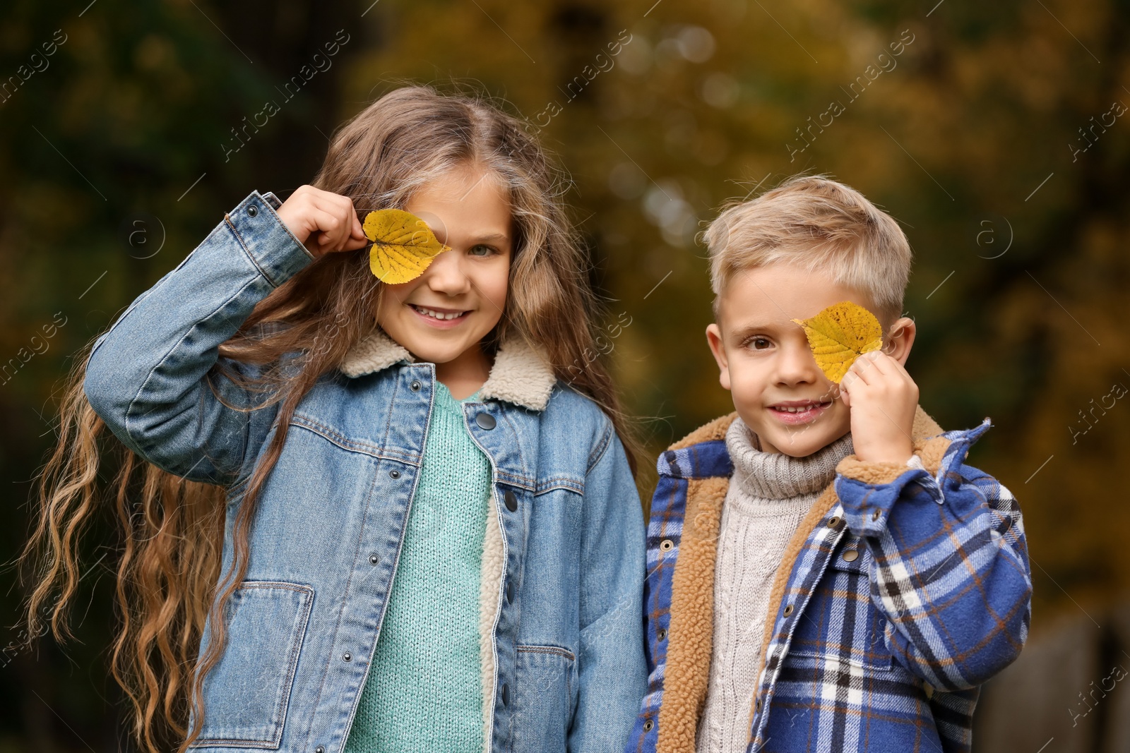 Photo of Portrait of happy children covering faces with autumn dry leaves outdoors