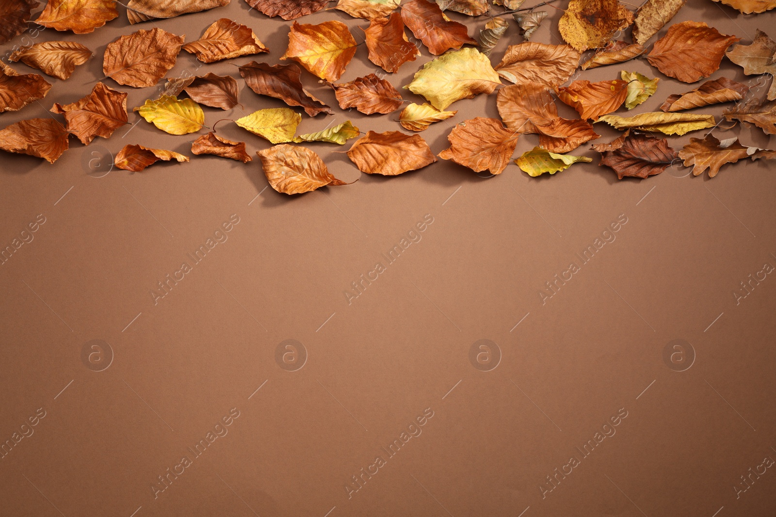 Photo of Dry autumn leaves on brown background, top view. Space for text